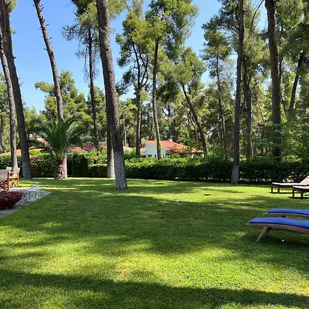 Lavender By Halu!, With Outdoor Ping Pong Area