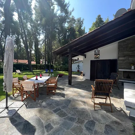 Lavender By Halu!, With Outdoor Ping Pong Area Villa
