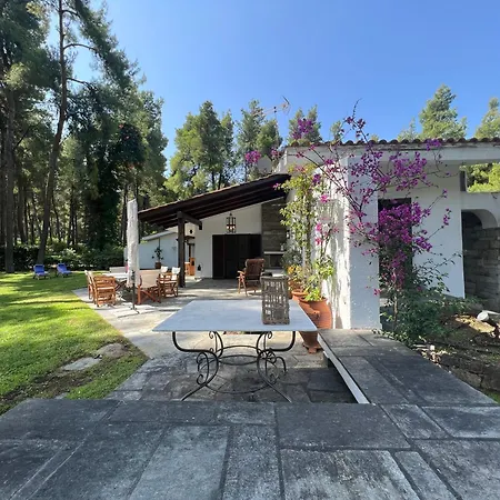 Lavender By Halu!, With Outdoor Ping Pong Area