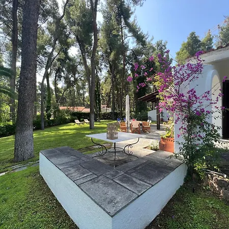 Lavender By Halu!, With Outdoor Ping Pong Area * Sani (Chalkidiki)