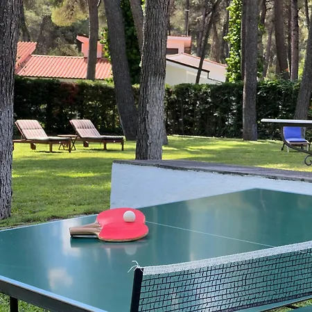 Villa Lavender By Halu!, With Outdoor Ping Pong Area *
