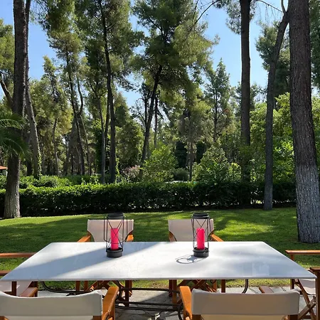 Lavender By Halu!, With Outdoor Ping Pong Area * Sani (Chalkidiki)
