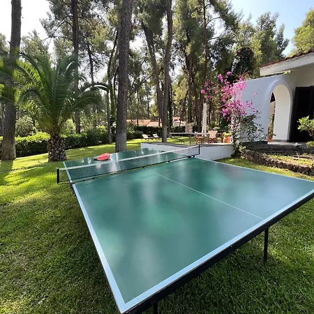 Lavender By Halu!, With Outdoor Ping Pong Area *